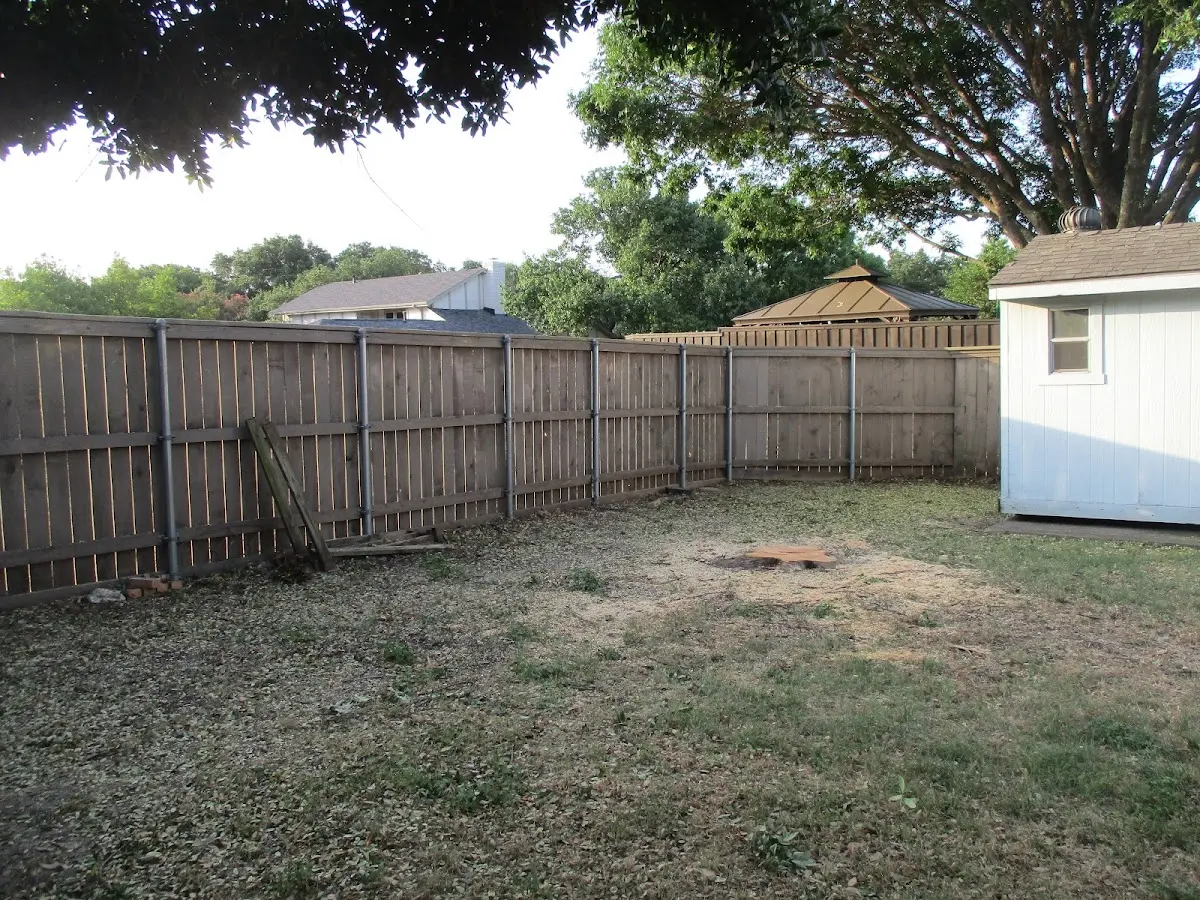 Cleared yard after professional tree removal in Fort Loramie